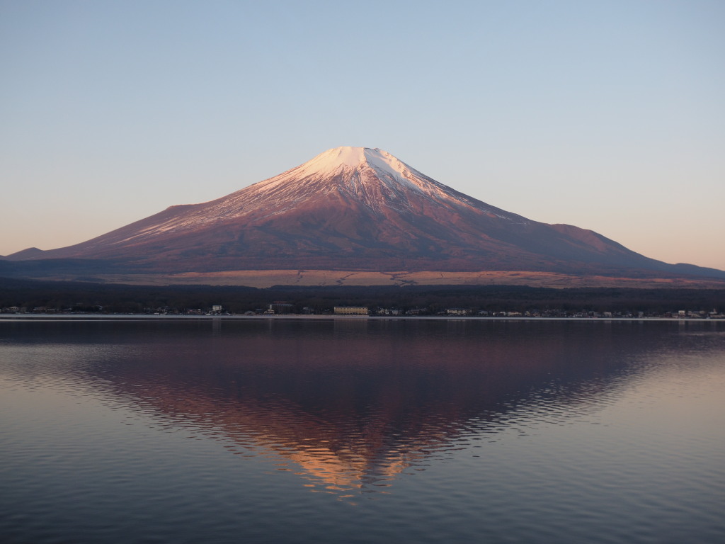 1/5 �ق�̂�g�t���x�m