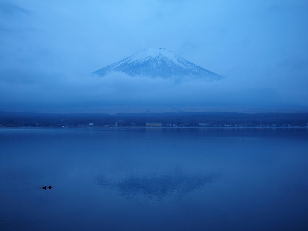 1/6 �_�̒��̕x�m�R