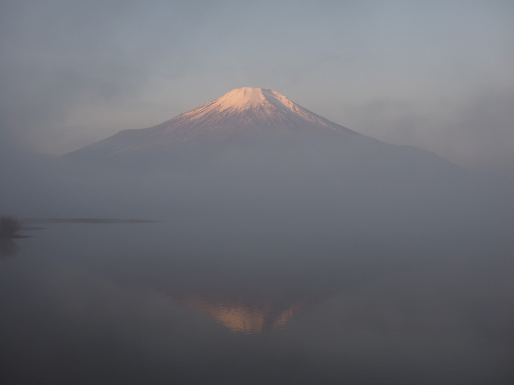 1/7 �_�̒��̍g�x�m