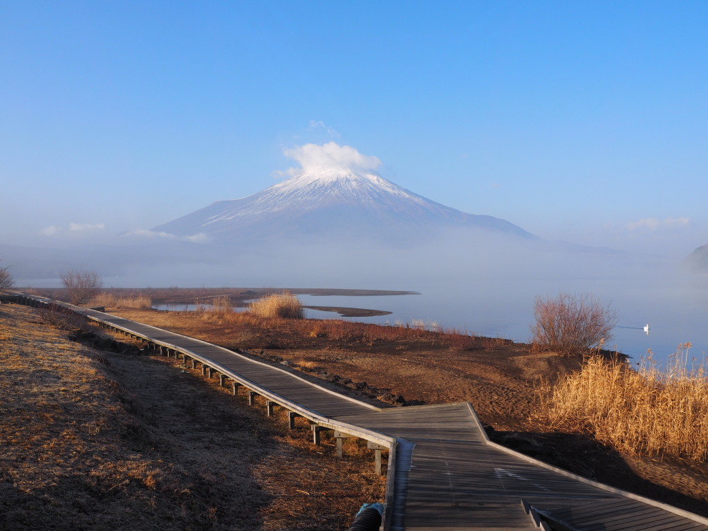 1/7 �ؓ��ƕx�m�R