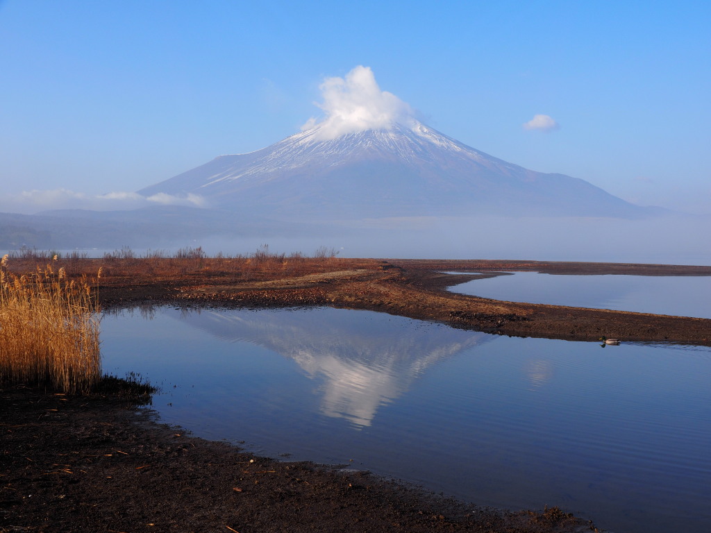 1/7 ���d�l����̕x�m�R