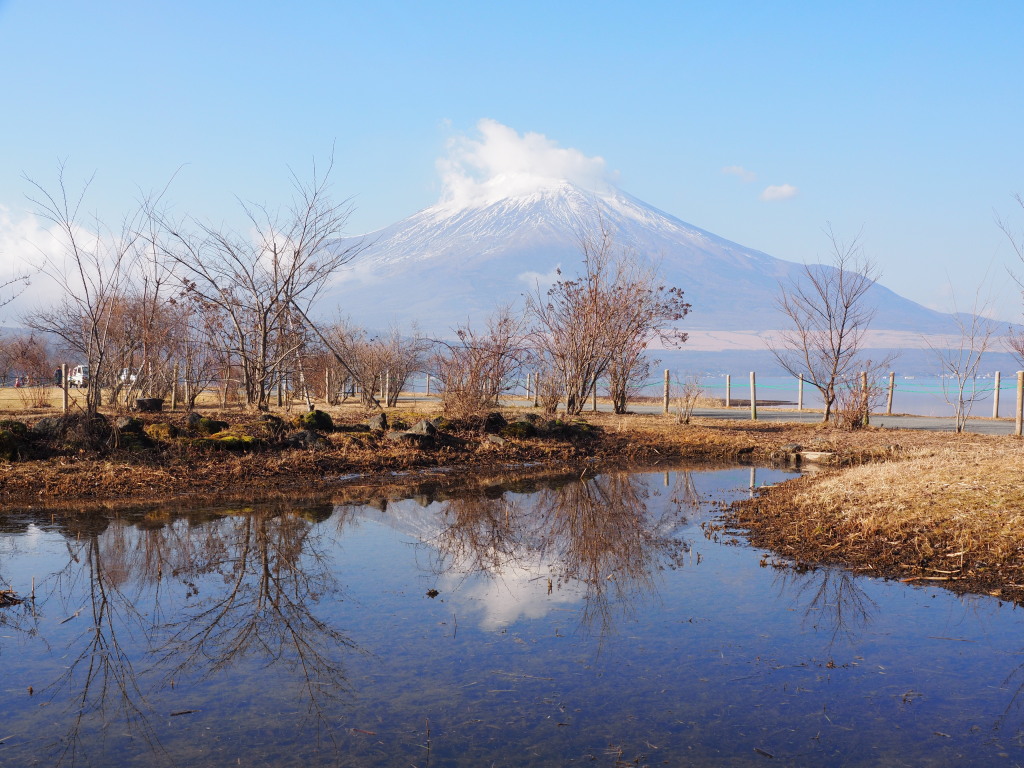 1/7 �L�����̋t���x�m