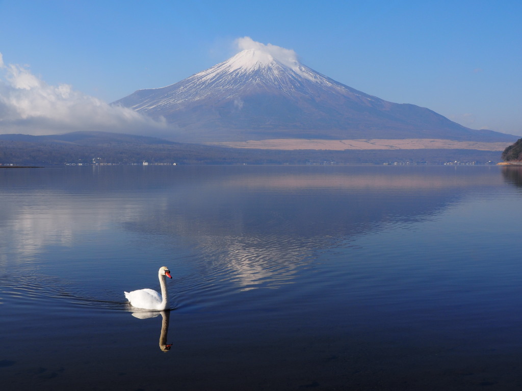 1/7 �����ƕx�m�R