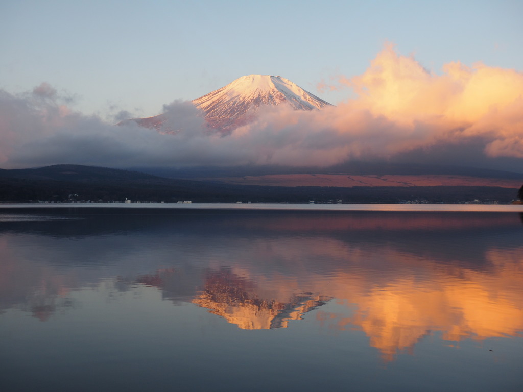 1/8 �x�����̕x�m�R