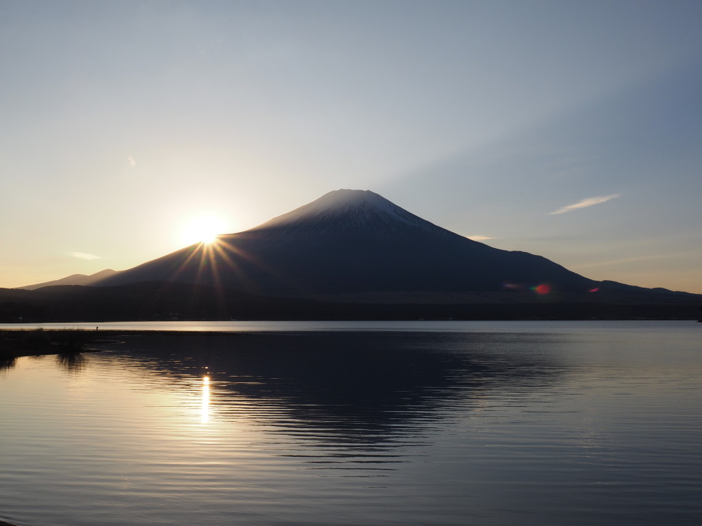 1/8 ���̓���̕x�m�R