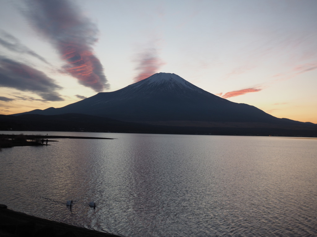 1/8 �[�Ă��̕x�m�R