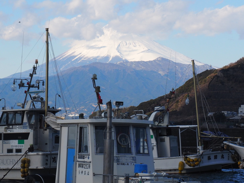 1/19 ���Y����̕x�m�R