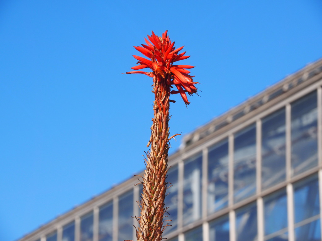 1/20 �A���G�̉�