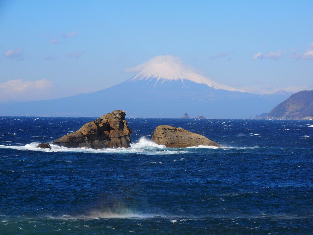 1/20 �v�w��̕x�m�R