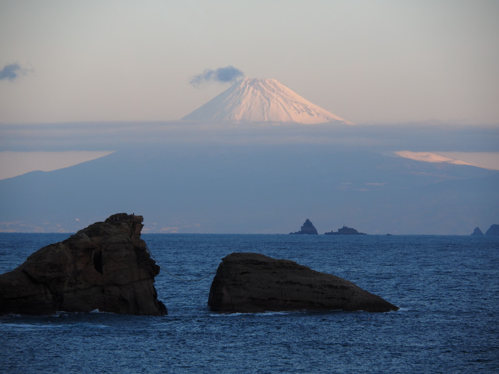 1/21 �_���̒��Ă�