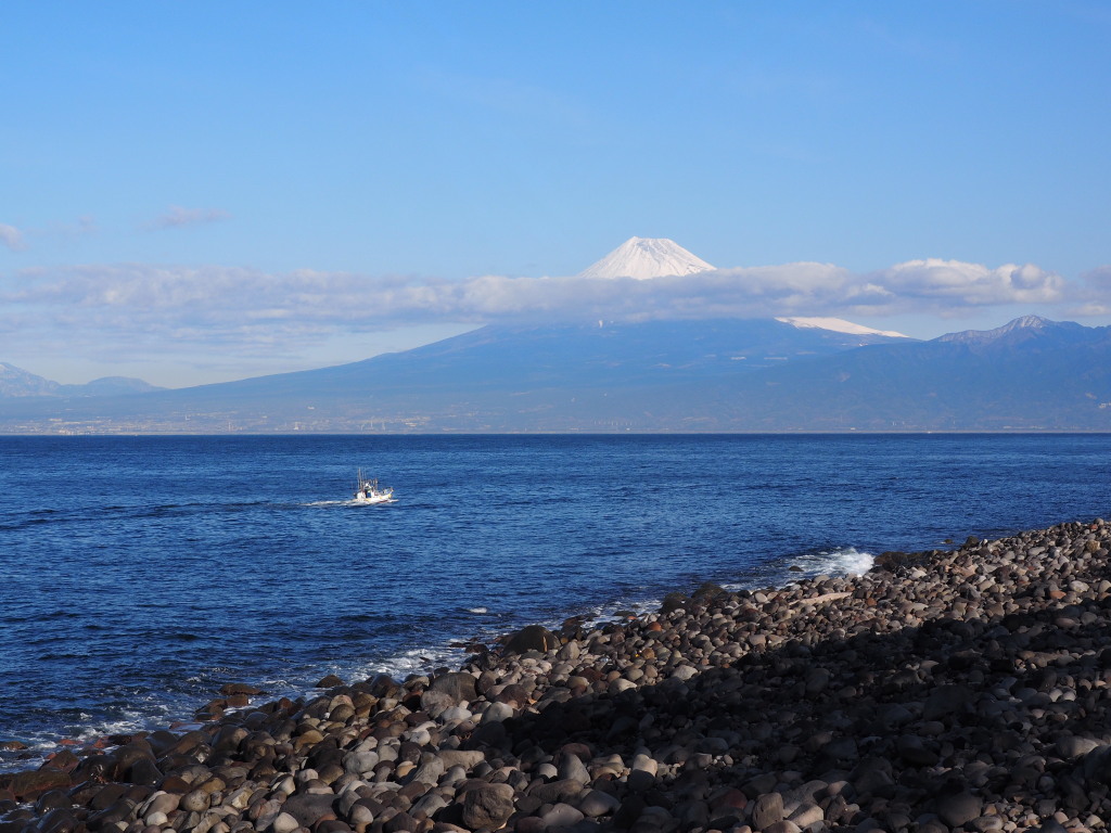 1/21 ��l�肩��̕x�m�R