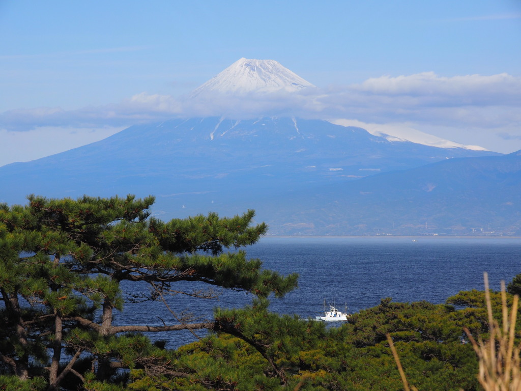 1/21 ���N�̐X����̕x�m�R