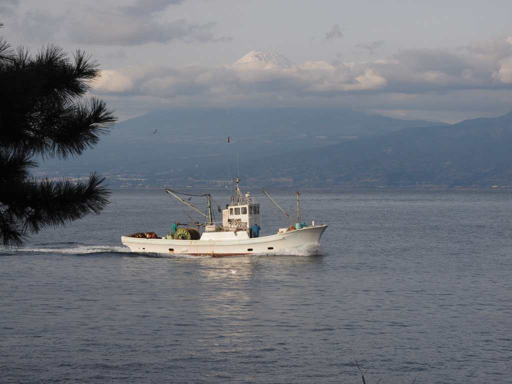 1/21 �D�ƕx�m�R