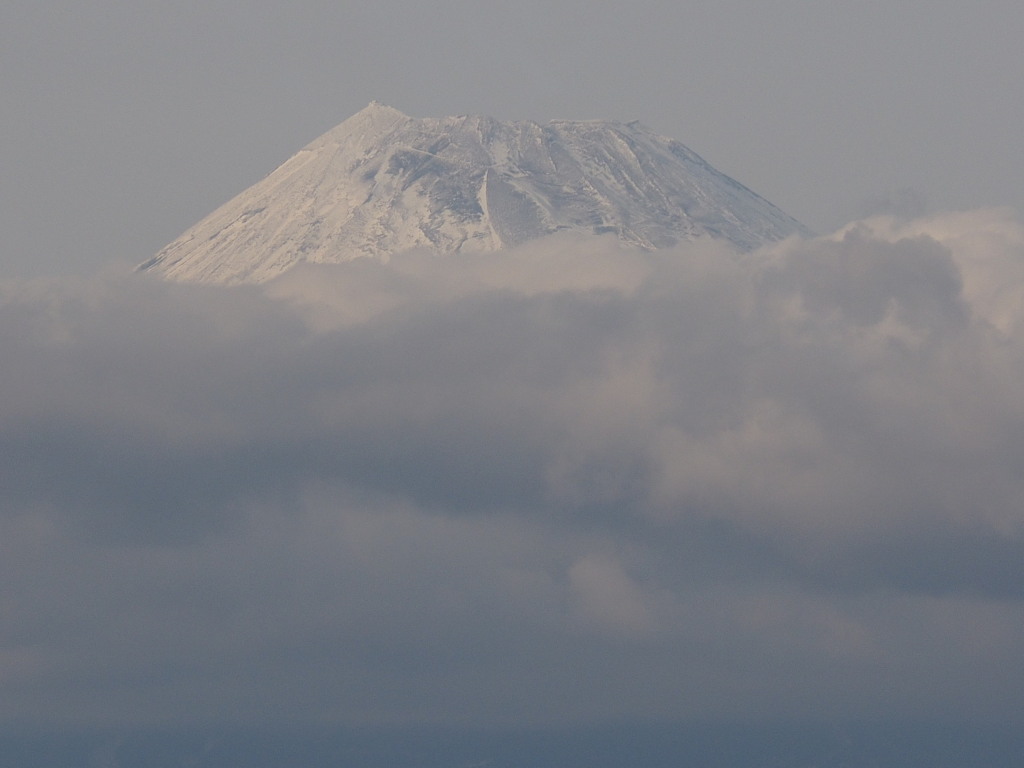 1/21 �Ⴊ�������x�m�R