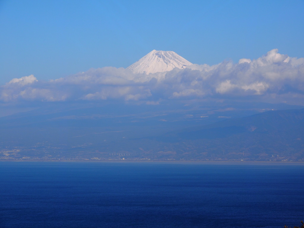 1/22 ��u�������x�m�R