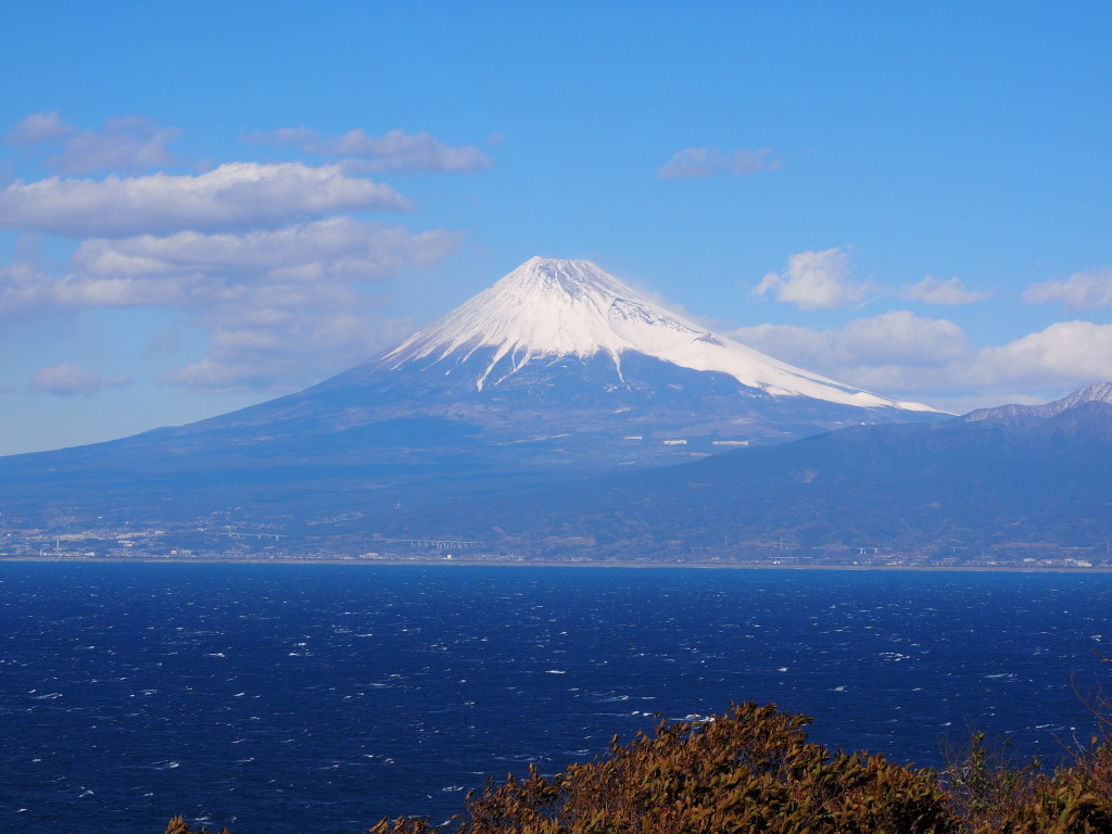 1/24 �o����������̕x�m�R