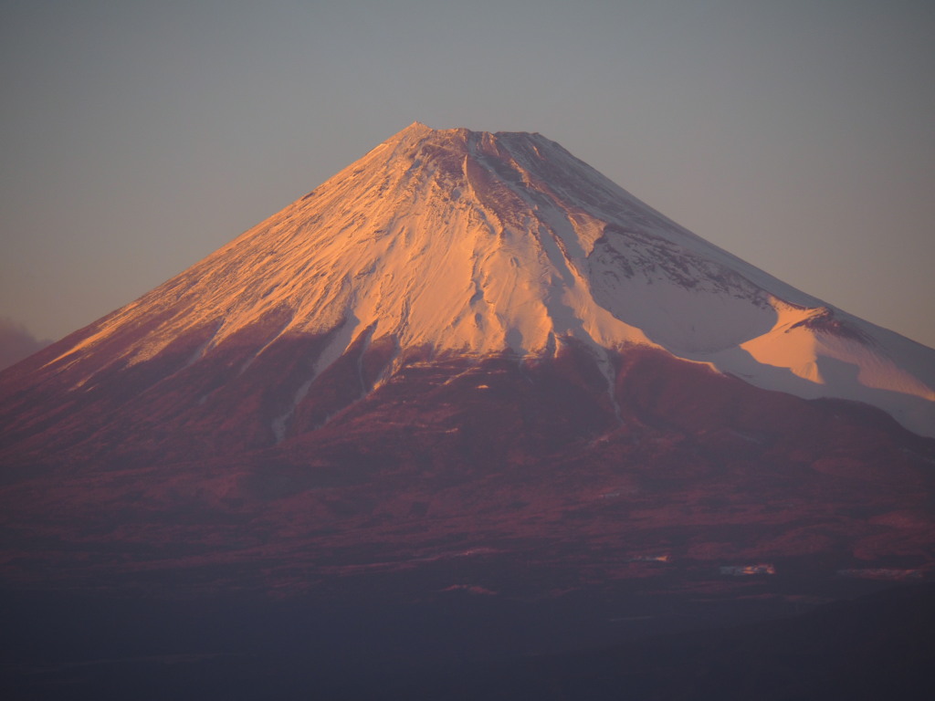 1/24 �[�Ă��̕x�m�R