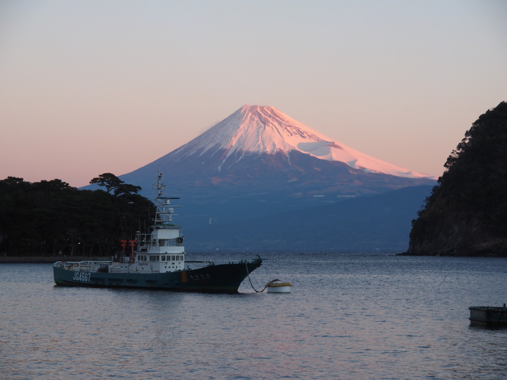 1/25 ��l�`����̍g�x�m