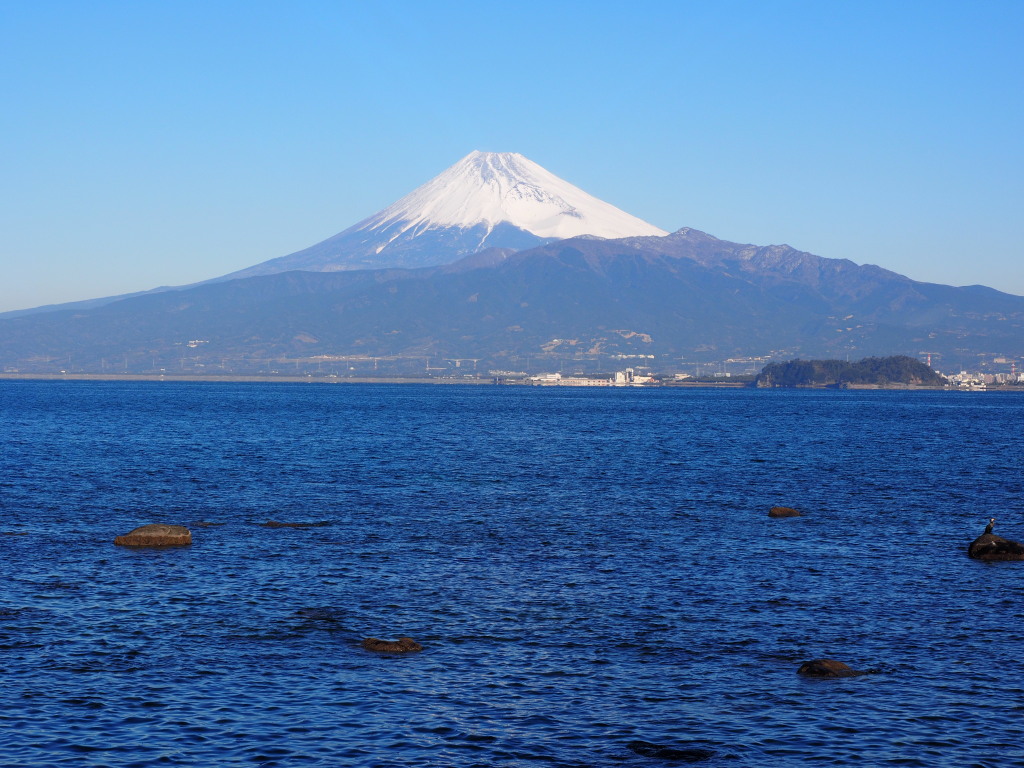 1/25 ���C�ƕx�m�R