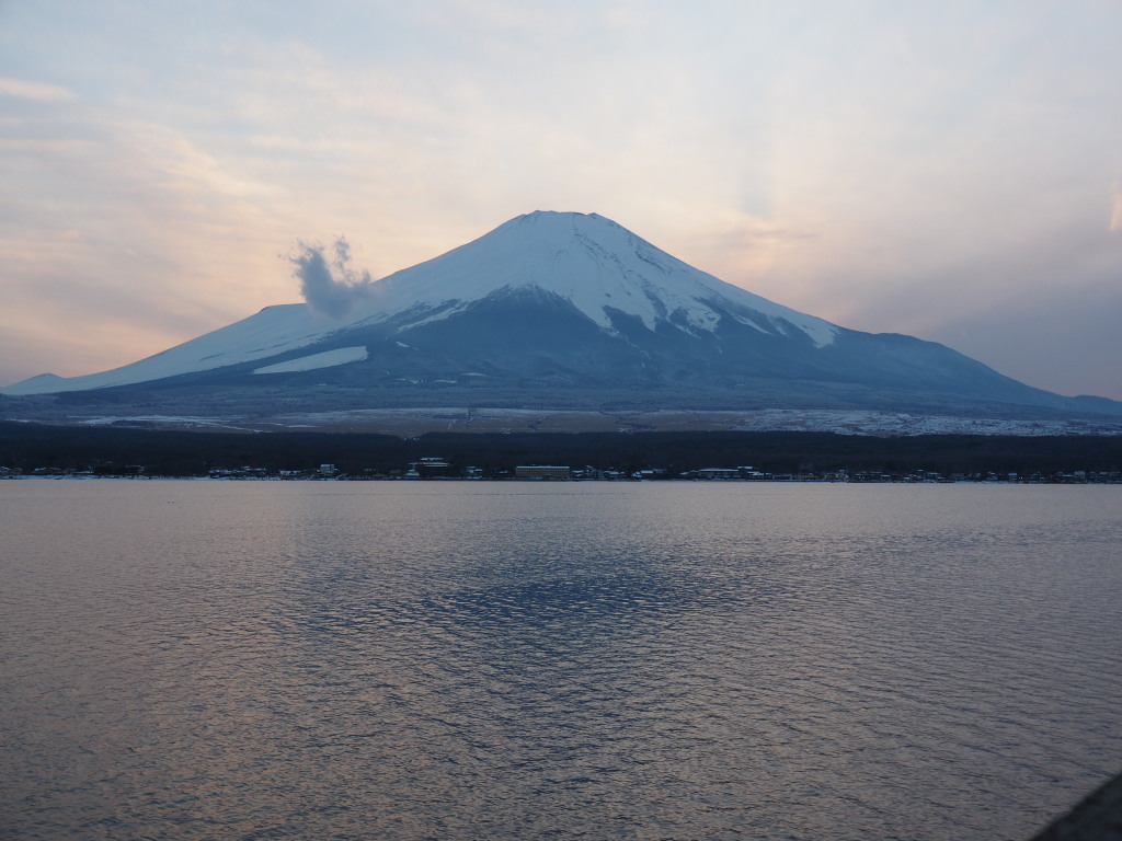 2/5 �[�Ă��̕x�m�R