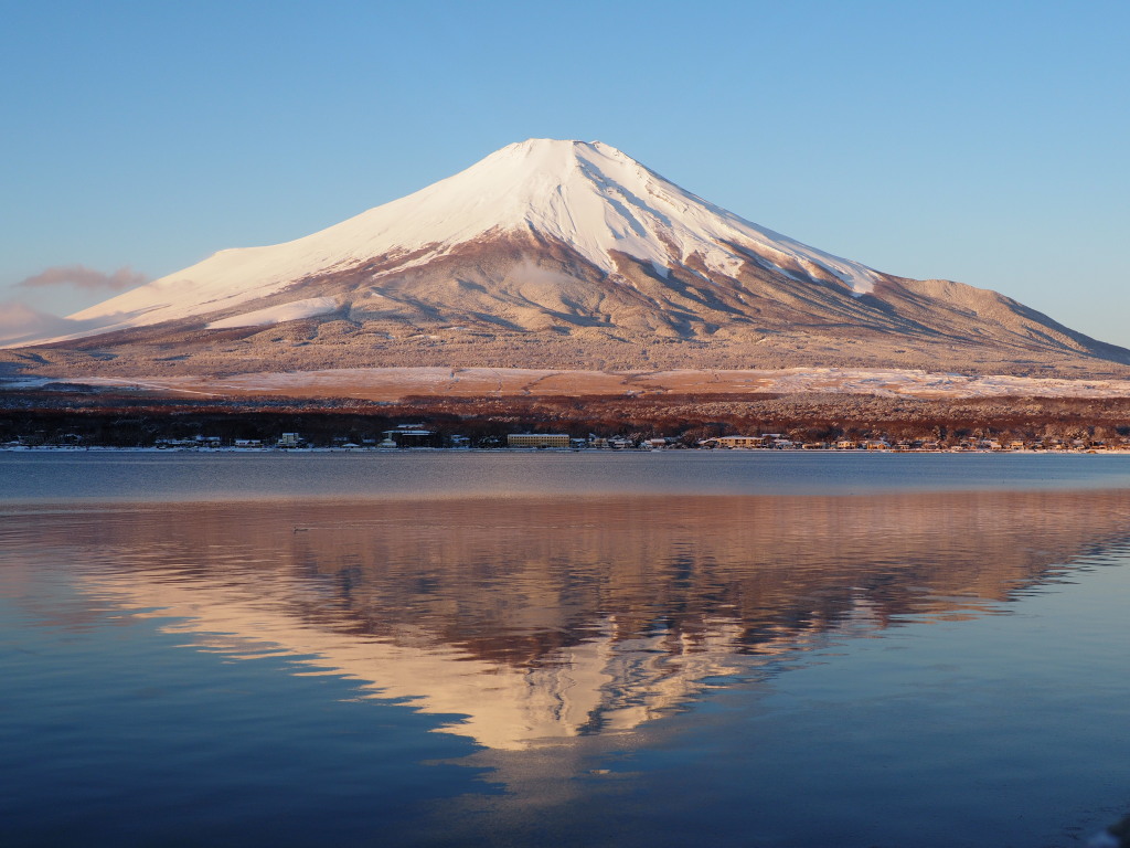 2/7 �t���x�m