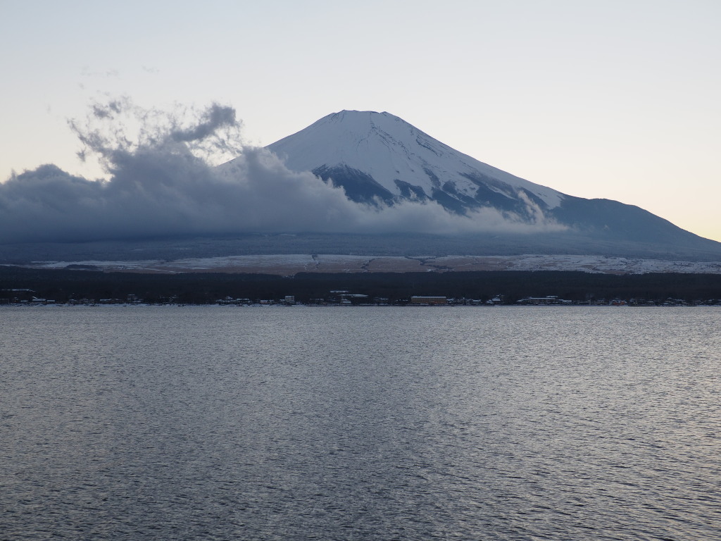 2/8 �[�Ă��̕x�m�R