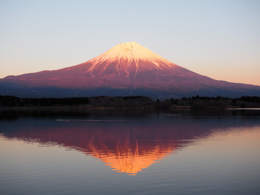 2/10 �[�Ă��̋t���x�m�R