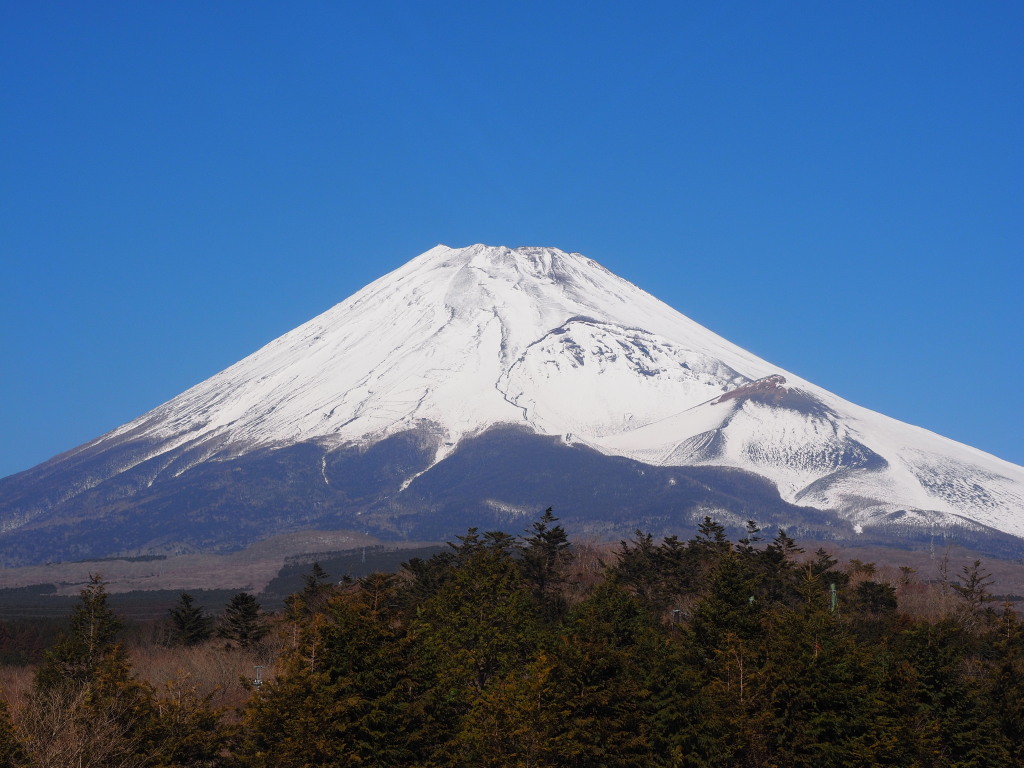 2/11 �\���؂���̕x�m�R