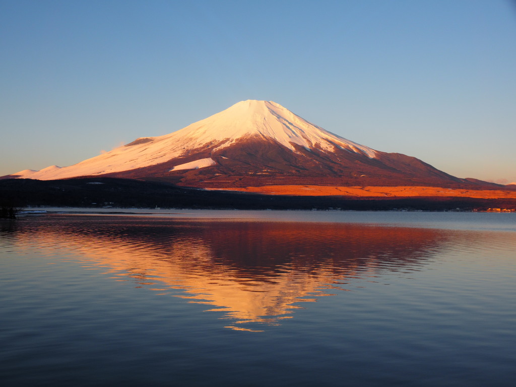 2/17 �t���x�m