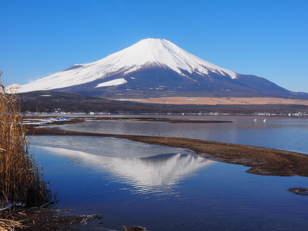 2/17 ���d�l����̋t���x�m