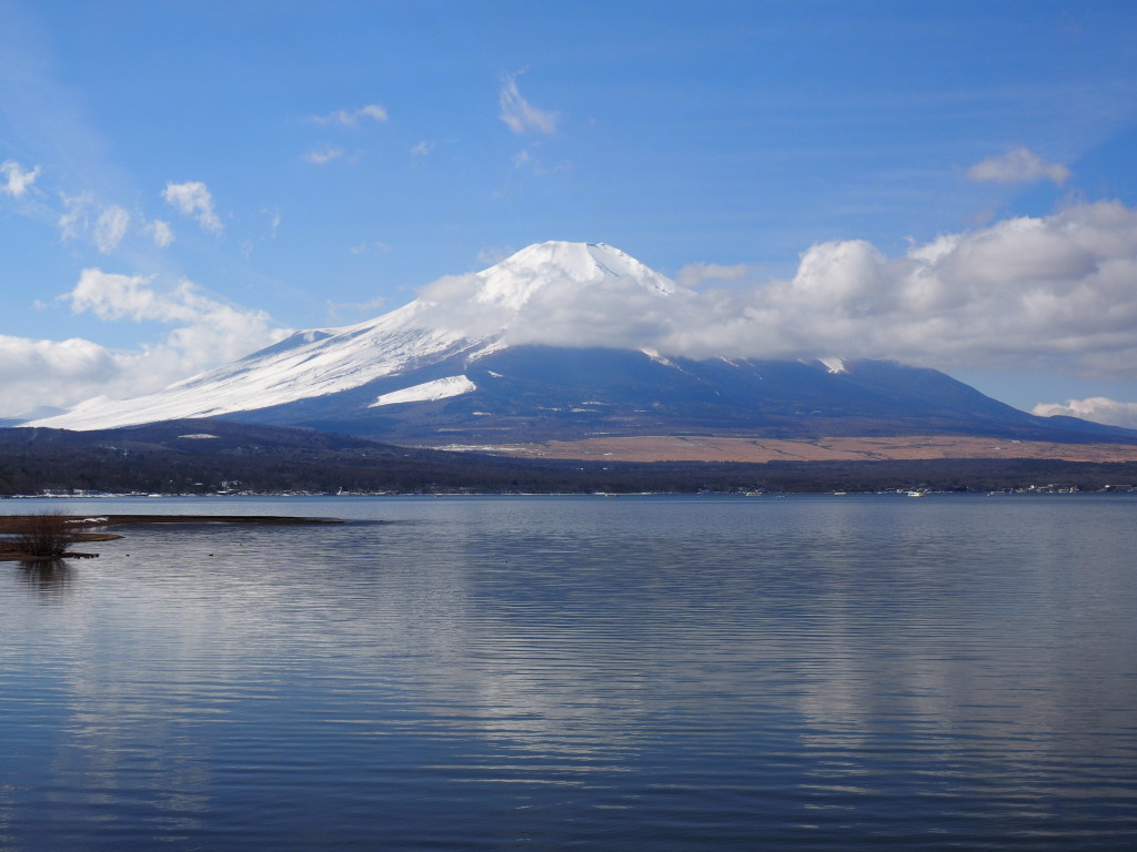 2/18 �����n�߂��x�m�R