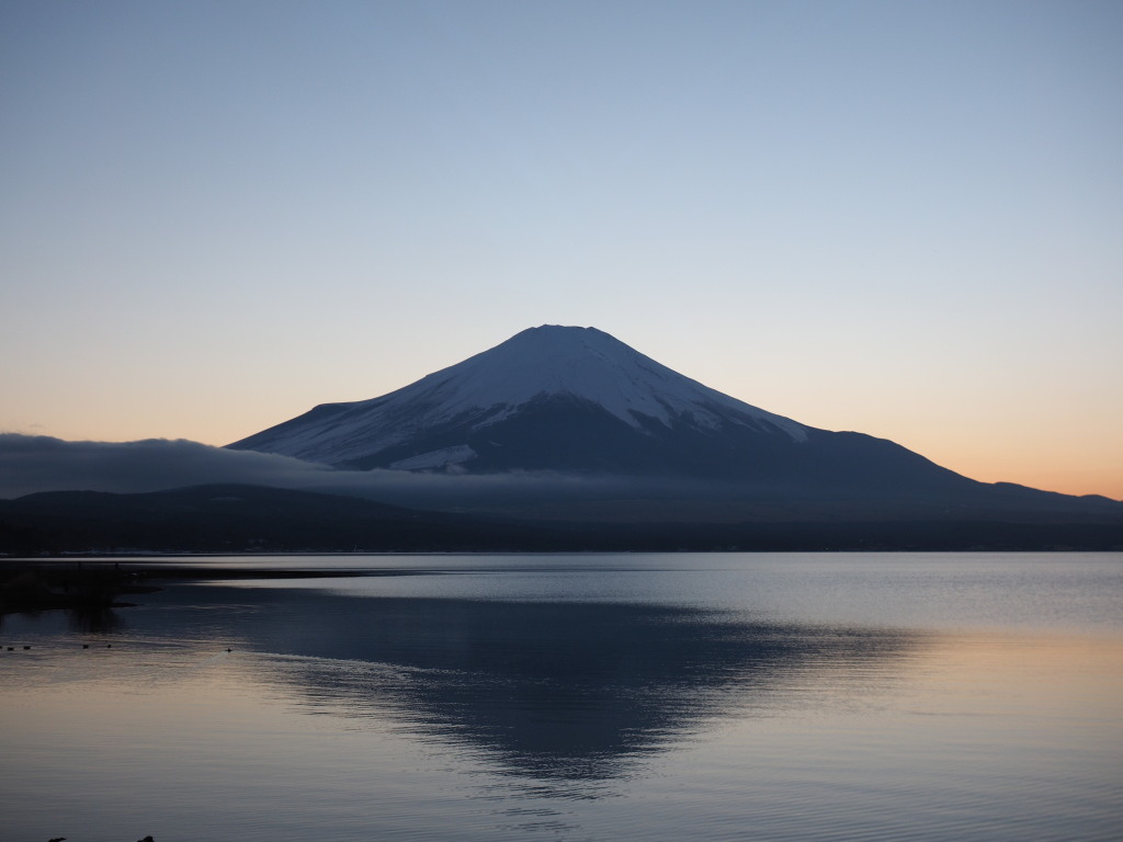 2/18 �����₯�̕x�m�R