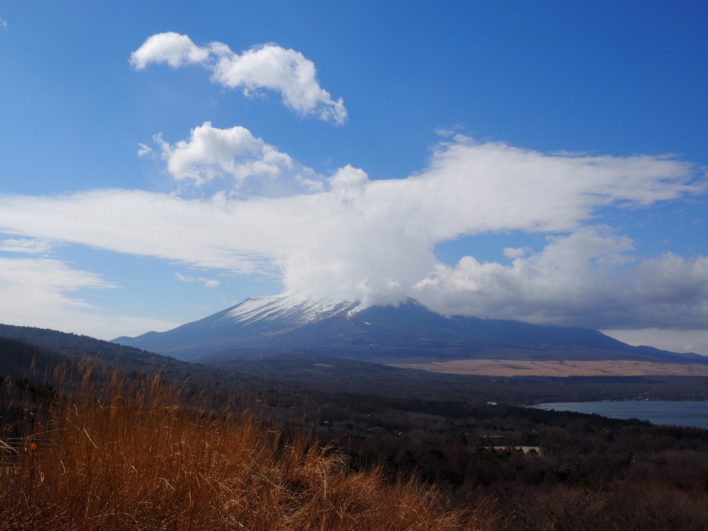 2/23 ��u�̕x�m�R