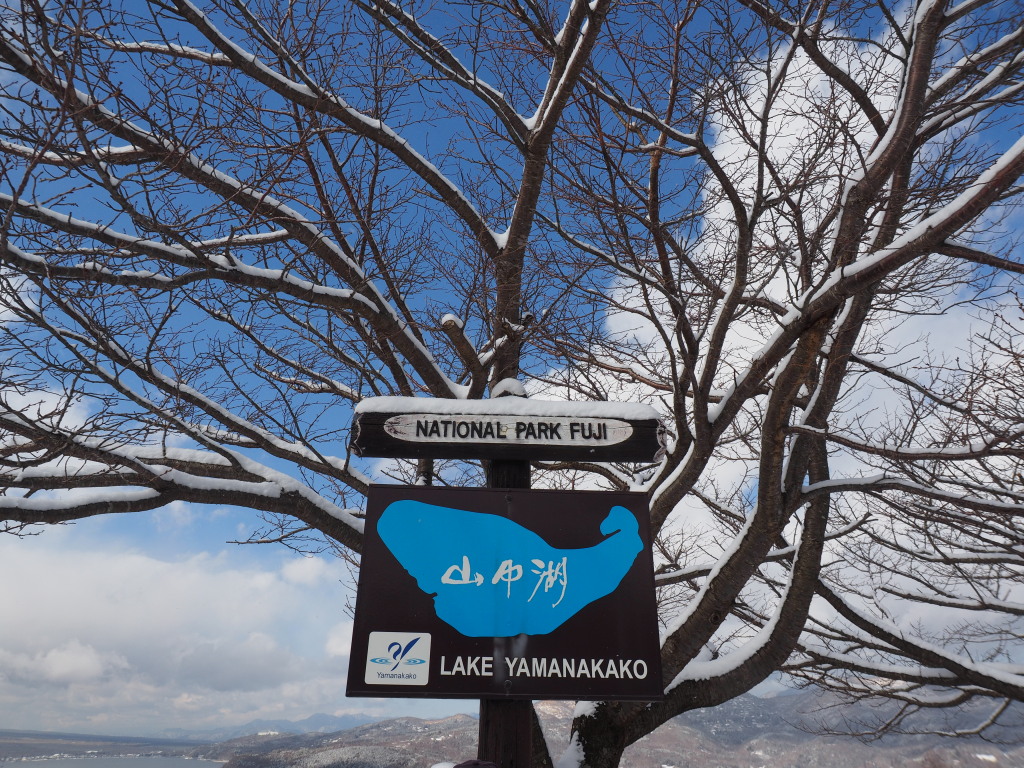 2/25 ���p�m���}��