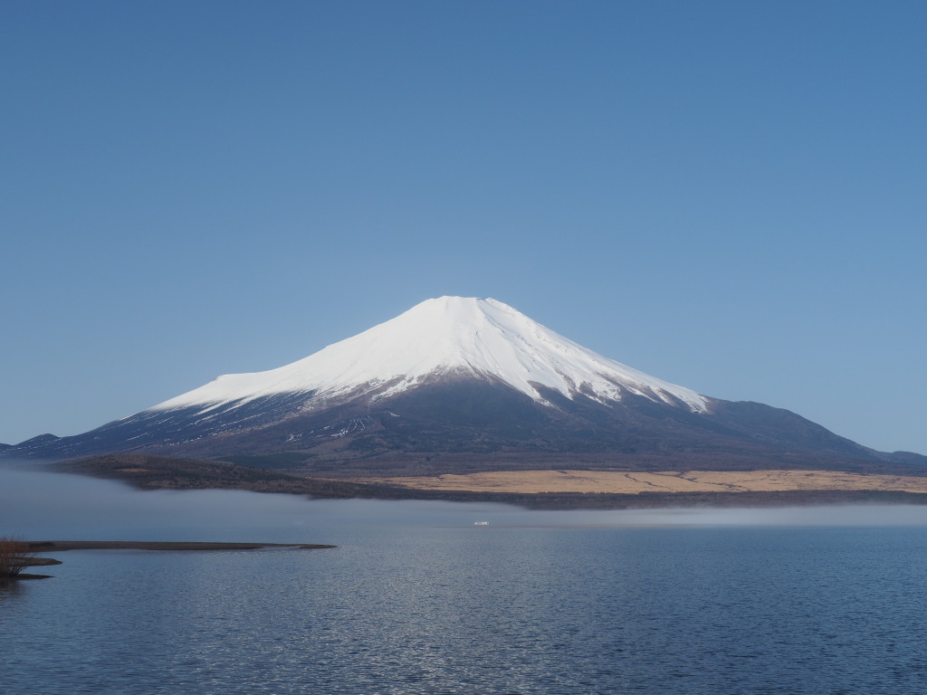 3/8 �����n�߂��x�m�R