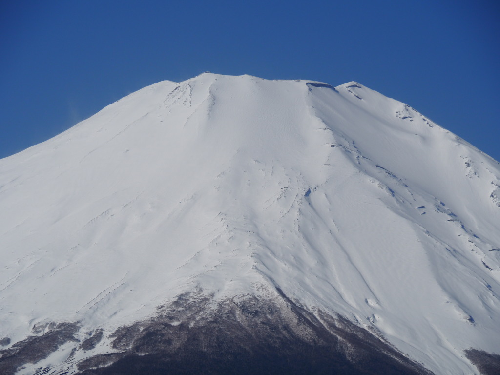 3/8 �^�����ȕx�m�R