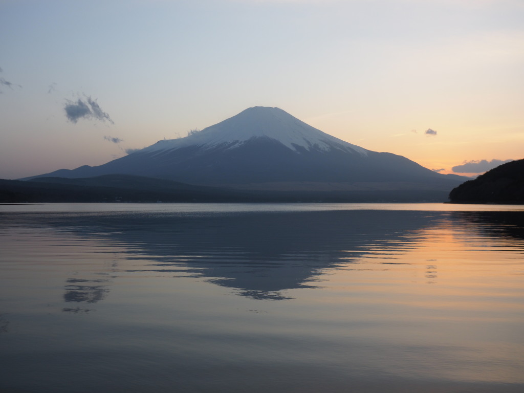 3/8 �[�Ă��̕x�m�R