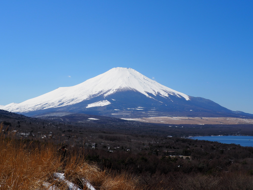 3/17 �p�m���}�䂩��̕x�m�R