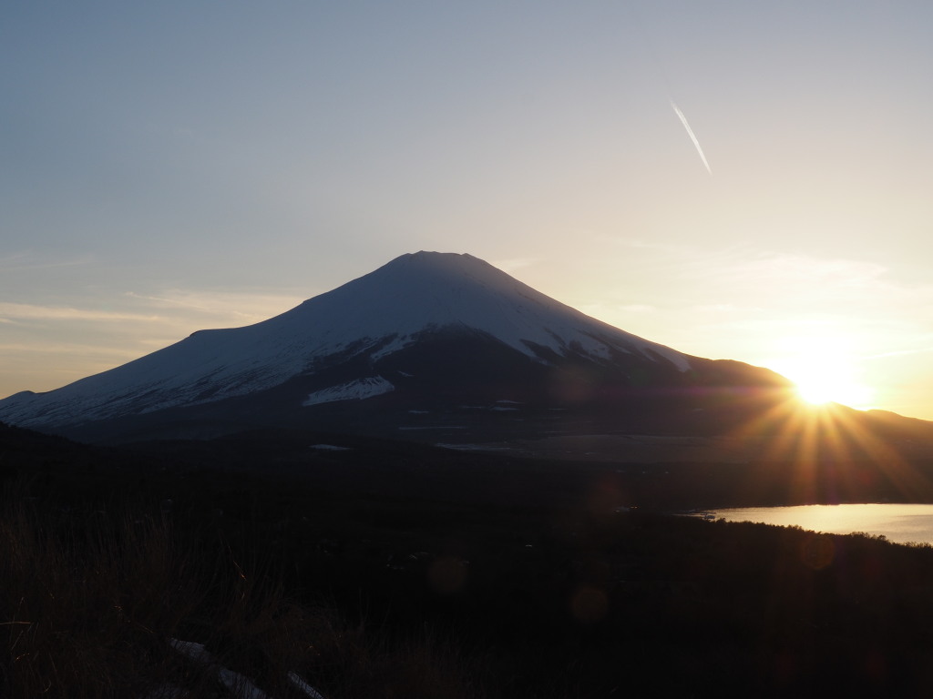 3/17 ���̓���̕x�m�R