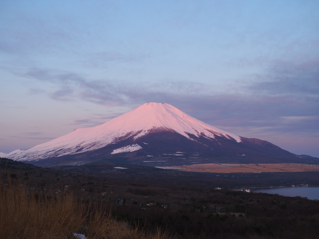 3/18 ���Ă��̕x�m�R