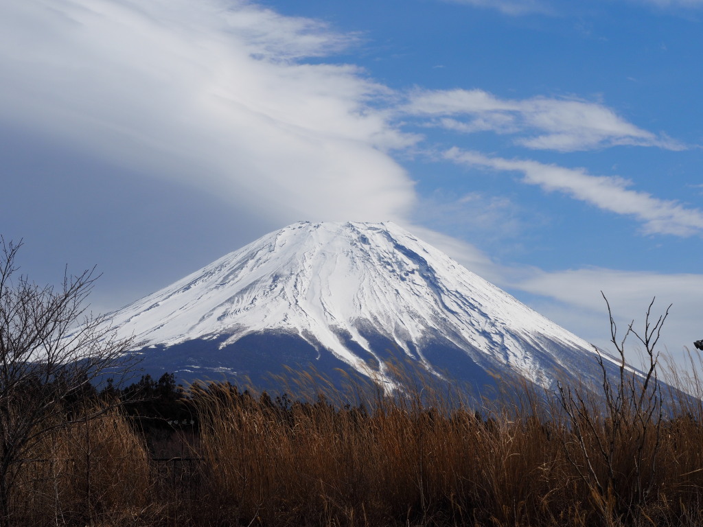 3/18 ������������̕x�m�R