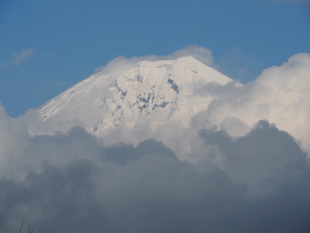 3/21 ��u�̕x�m�R