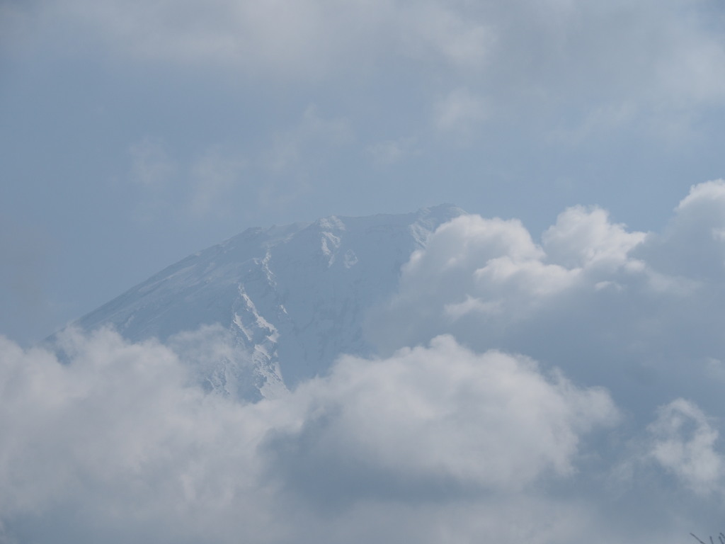 3/22 �x�m�R�̎R��