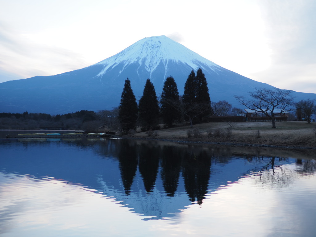 3/23 �t���x�m