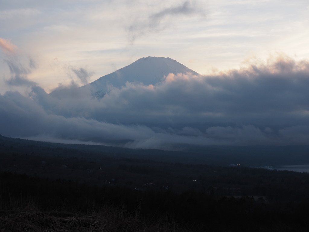 4/5 ���̓���̕x�m�R