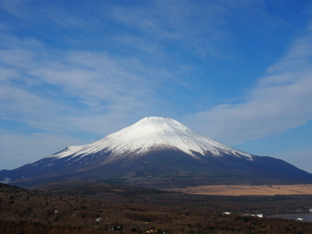 4/8 �_�ƕx�m�R(2)