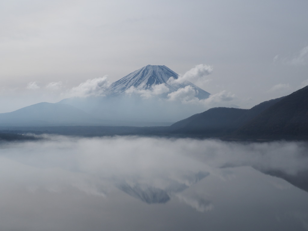 4/9 �t���x�m�o�n�߂�