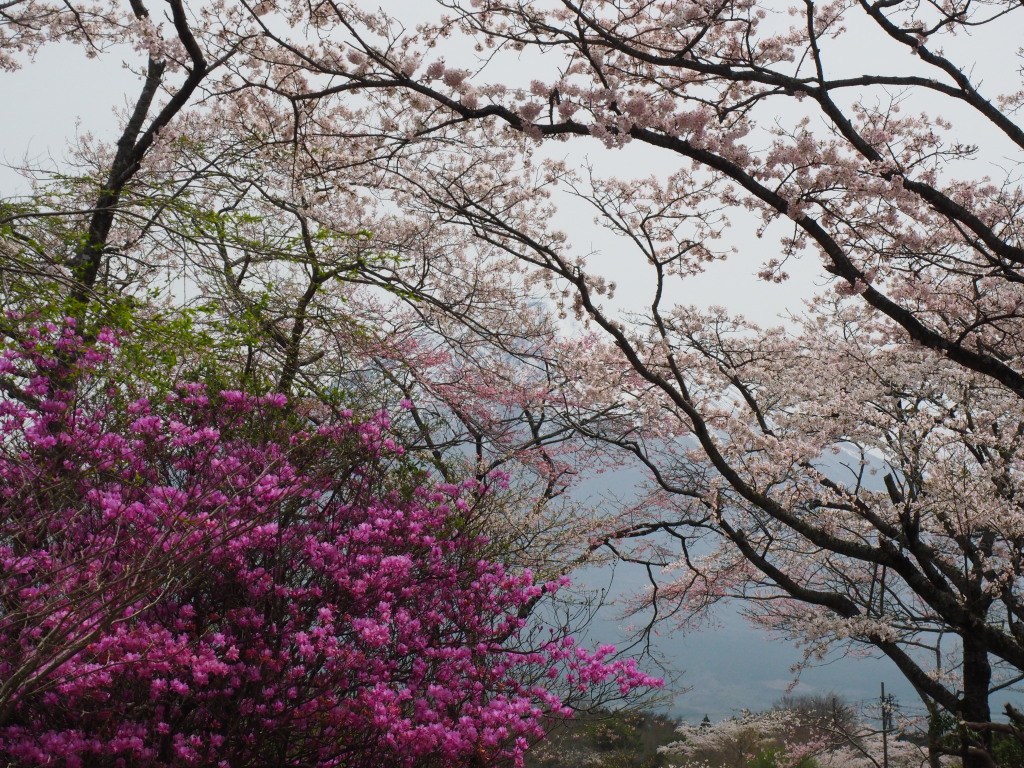 4/10 ���ƃ~�c�o��