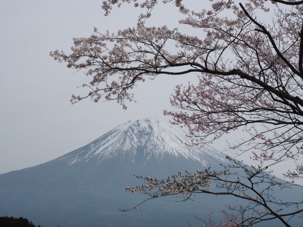 4/10 ���J�̍��ƕx�m�R