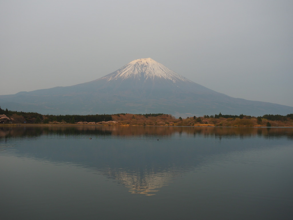 4/10 �[�Ă��̕x�m�R